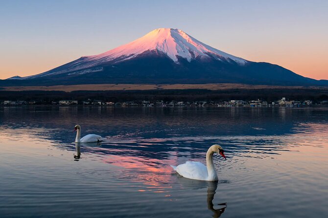 Tokyo: Mount Fuji One Day Trip Lake Kawaguchi & Lake Yamanaka - Oshino Hakkai: the calm, culture-rich break that’s worth the ride