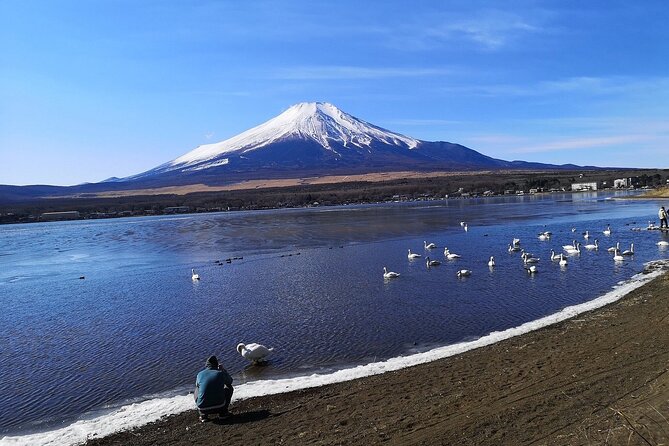 Tokyo: Mount Fuji One Day Trip Lake Kawaguchi & Lake Yamanaka - Arakurayama Sengen Park: Chureito Pagoda and the shrine views