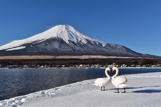 Tokyo: Mount Fuji One Day Trip Lake Kawaguchi & Lake Yamanaka - Hikawa Clock Shop: street-scene photos with a calmer path