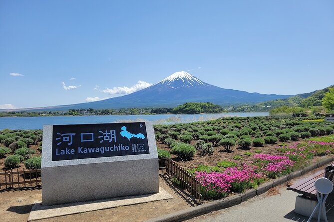 Tokyo: Mount Fuji One Day Trip Lake Kawaguchi & Lake Yamanaka - Price and value: is $58.90 a smart deal?