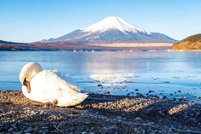 Tokyo: Mount Fuji One Day Trip Lake Kawaguchi & Lake Yamanaka - The Fuji Five Lakes loop starts with Lake Kawaguchiko and Oishi Park