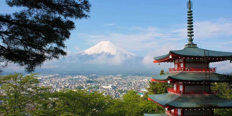 Tokyo: Mount Fuji Private Tour with Scenic Lunch Experience - Key things that make this tour worth your time
