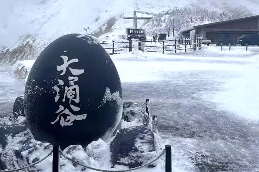 Tokyo: Mount Fuji Views and KABA Amphibious Bus Day Tour - Price value for a Fuji day trip at $44