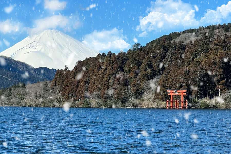 Tokyo: Mount Fuji Views and KABA Amphibious Bus Day Tour - Oishi Park at Kawaguchiko, lavender and big Fuji framing