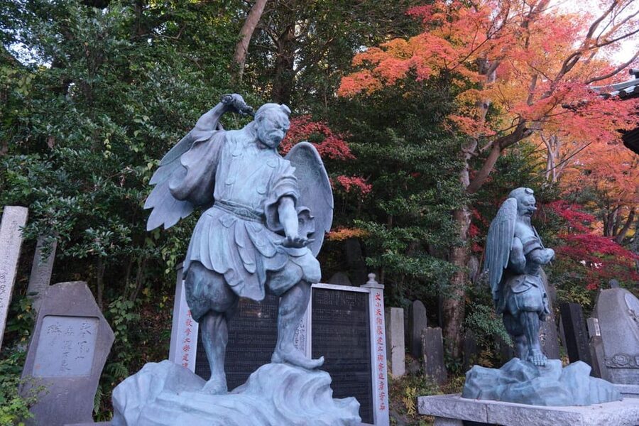 Tokyo: Mount Takao Guided Hiking Tour - Monkey Park and Wildflower Garden: seeing macaques with context