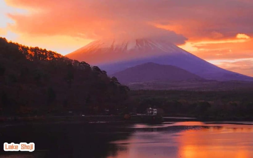 Tokyo: Mt Fuji 3 Lakes Day Trip | 9-Guest Small Group - Your one big choice: cruise, ropeway, or Music Forest Museum