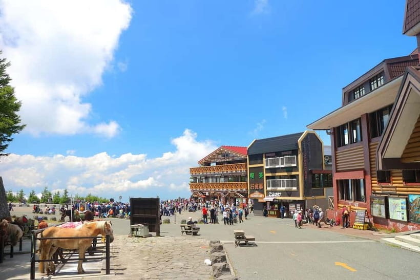 Tokyo: Mt. Fuji 5th St, Gotemba & Hakone by Luxury Bus - Key things to know before you go