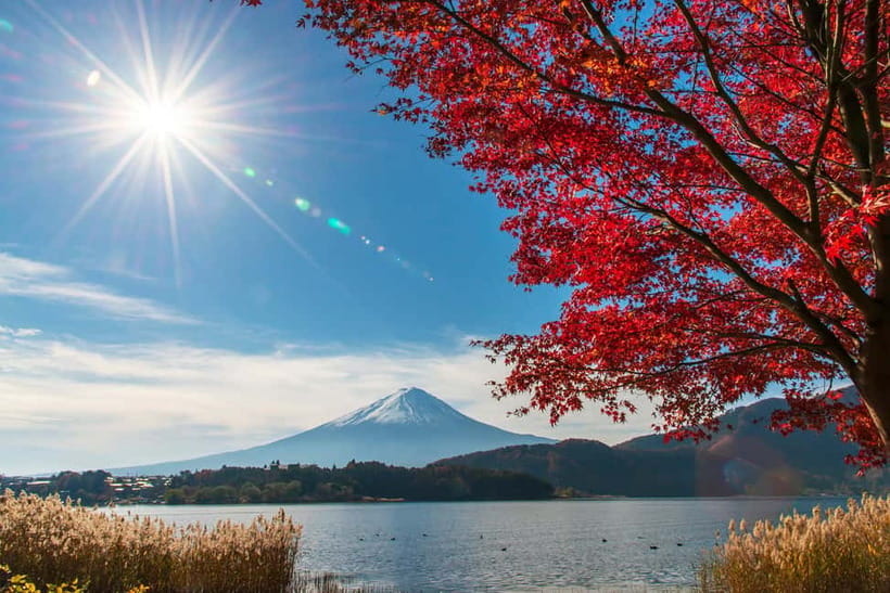 Tokyo: Mt. Fuji 5th St. & Hakushu Distillery Whisky Museum - Tokyo to Mt Fuji’s 5th Station, the ride that sets the tone