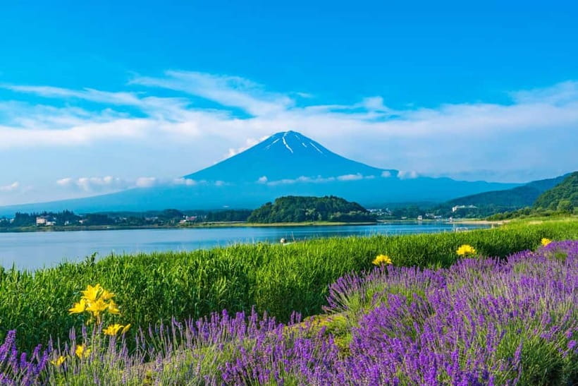 Tokyo: Mt. Fuji 5th St. & Hakushu Distillery Whisky Museum - Price and value: where the $87 really goes