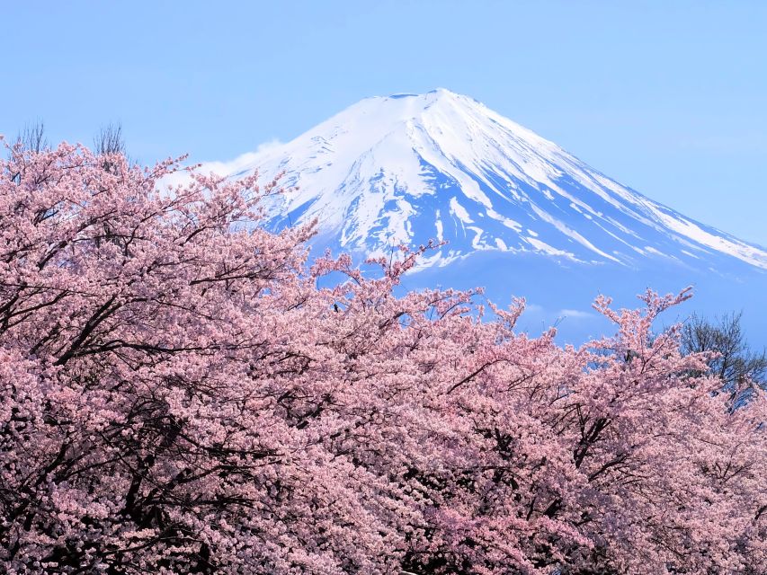 Tokyo: Mt. Fuji 5th Station & Hakone Cruise 1-Day Bus Tour - Hakone Ropeway: the ride that turns views into an experience