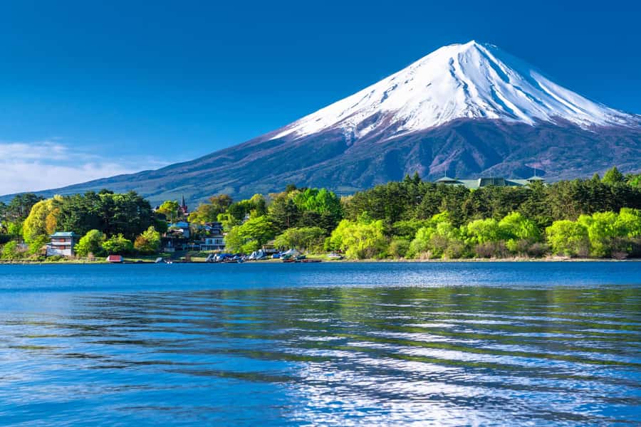 Tokyo: Mt. Fuji 5th Station, Kawaguchiko Tour w/ Cable Car - Lunch at Fuji Q Highland Area: Choose the Right Option for You