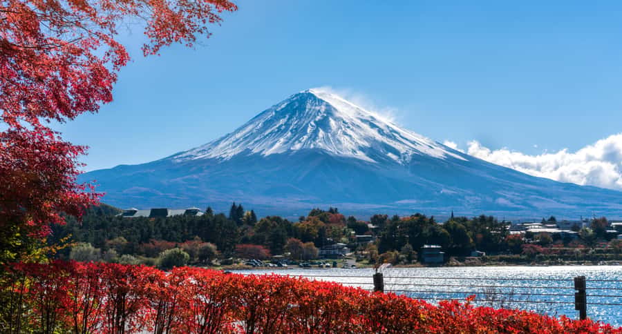 Tokyo: Mt. Fuji 5th Station, Kawaguchiko Tour w/ Cable Car - The Real Value for $74: What You Get and Why It’s Not Just a Bus Trip