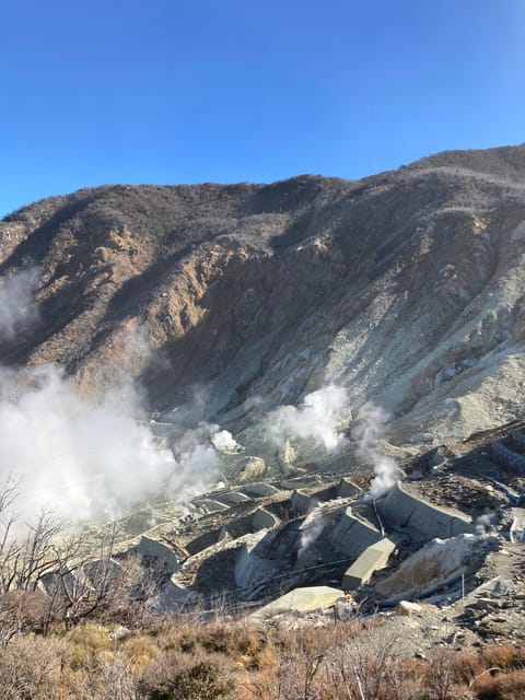Tokyo: Mt. Fuji and Hakone Tour with Cable Car and Cruise - Price and Value: Why $92 Can Be a Good Deal, or Not