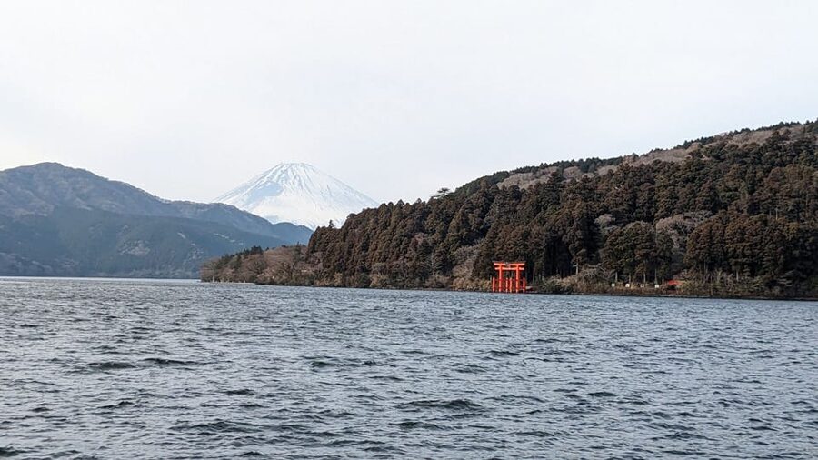 Tokyo: Mt. Fuji and Hakone Tour with Cable Car and Cruise - Lunch Time at the Fuji Area: Hot Pot and Half Buffet