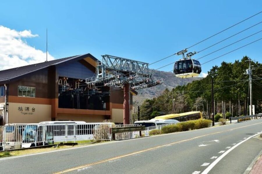 Tokyo: Mt. Fuji and Hakone Tour with Cable Car and Cruise - Wheelchair and Mobility: Access Is Promised, Transport Needs Checking