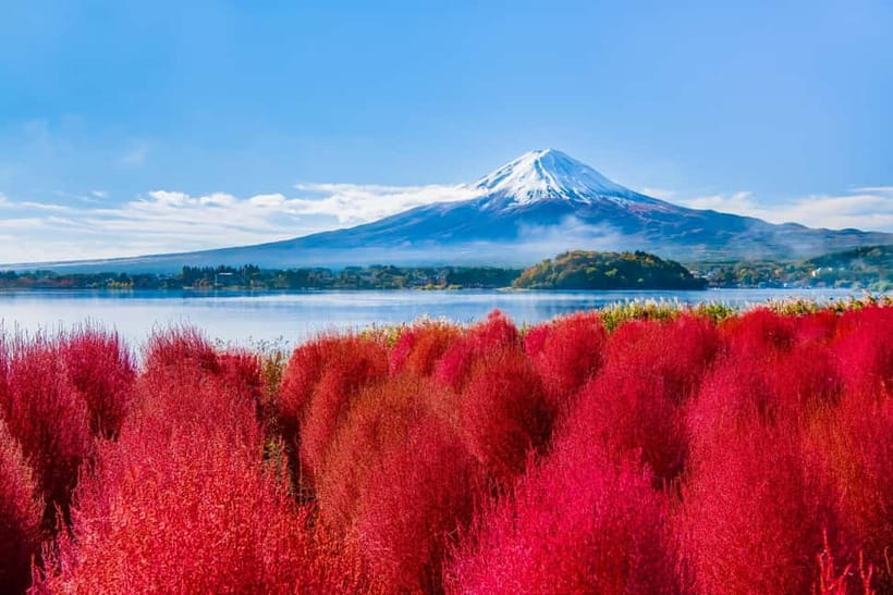 Tokyo: Mt. Fuji, Arakurayama Sengen Park, Oshino Hakkai Tour - Key points worth knowing before you go