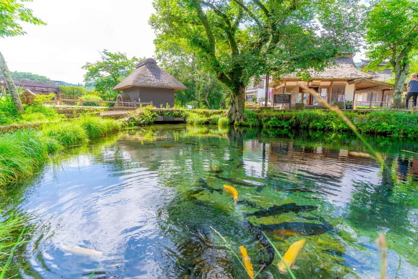 Tokyo: Mt. Fuji, Arakurayama Sengen Park, Oshino Hakkai Tour - Price and value: does $50 make sense for Fuji day-trip logistics?