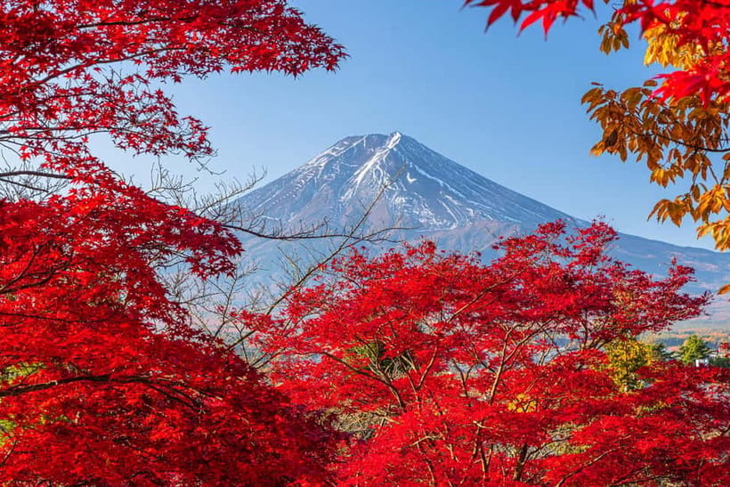 Tokyo: Mt. Fuji, Arakurayama Sengen Park, Oshino Hakkai Tour - Arakurayama Sengen Park and the five-story pagoda, Fuji framed every season