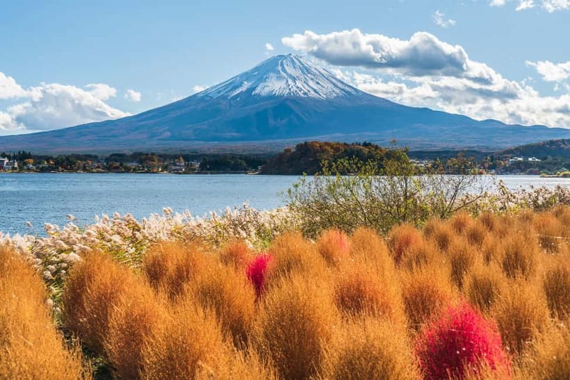 Tokyo: Mt. Fuji, Arakurayama Sengen Park, Oshino Hakkai Tour - Hikawa Clock Shop, a short break that helps the day feel less rushed