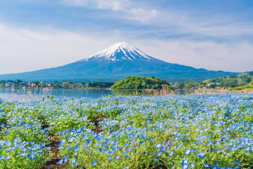 Tokyo: Mt. Fuji, Arakurayama Sengen Park, Oshino Hakkai Tour - Oshino Hakkai spring-water ponds for calm, clear nature views