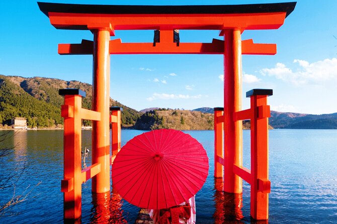 Tokyo: Mt. Fuji Cruise & Hakone Ropeway Day Trip by Bus - From Shinjuku in one shot: what this bus day trip is really like