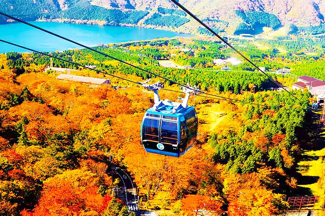 Tokyo: Mt. Fuji Cruise & Hakone Ropeway Day Trip by Bus - Moto-Hakone Port lunch time by the lakeshore