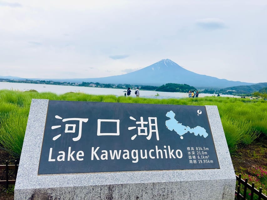 Tokyo: Mt. Fuji & Hakone Cherry Blossoms Private Day Tour - Lake Ashi and Hakone viewpoints: the caldera feeling takes over