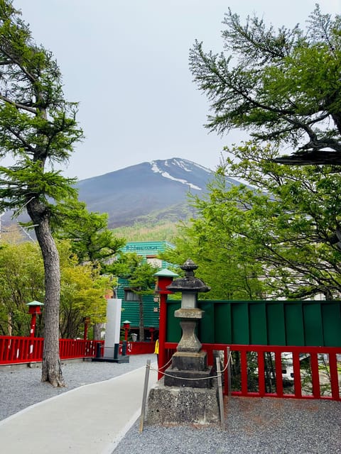 Tokyo: Mt. Fuji & Hakone Cherry Blossoms Private Day Tour - Owakudani crater zone: sulfur air and volcano reality at the end