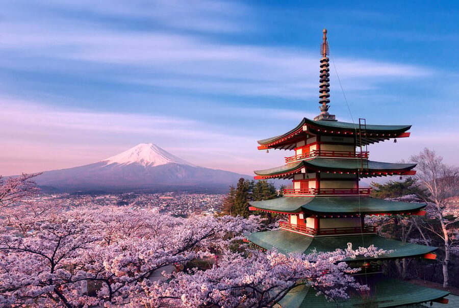 Tokyo:Mt Fuji & Hakone Day Tour with English Speaking Driver - Price and value: what you are actually paying for
