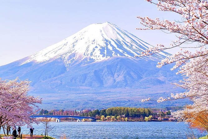 Tokyo Mt. Fuji Hakone Shrine, Owakudani, Lake Yamanakai Day Tour - Owakudani Valley: Big Hell steam and the black-egg tradition