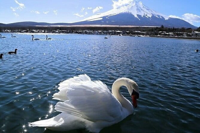 Tokyo Mt. Fuji Hakone Shrine, Owakudani, Lake Yamanakai Day Tour - Price and logistics, what your $76.96 covers