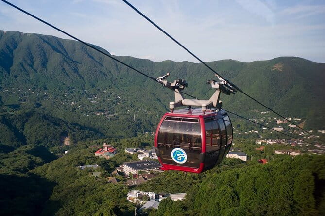 Tokyo Mt. Fuji Hakone Shrine, Owakudani, Lake Yamanakai Day Tour - Hakone Ropeway to Owakudani, the views you actually pay for