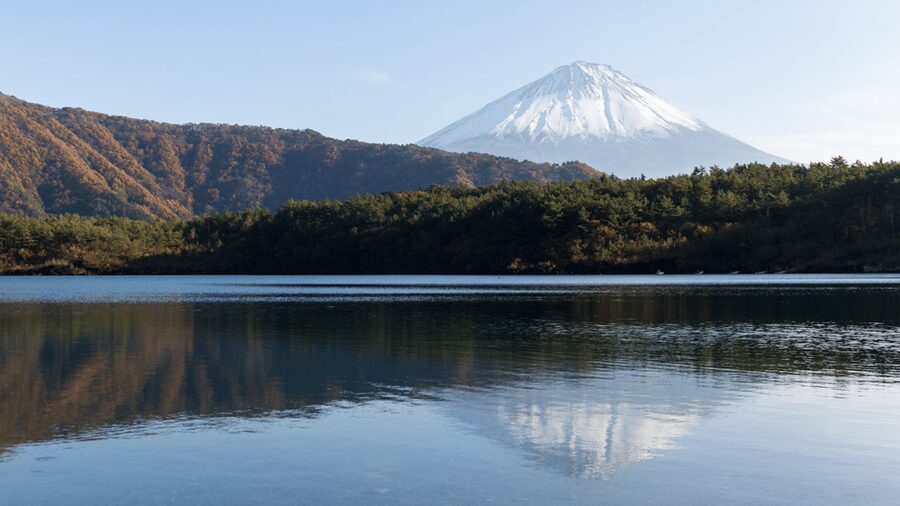Tokyo: Mt. Fuji Hidden Gems and Aokigahara Forest Tour - Smart packing for caves and forest walks