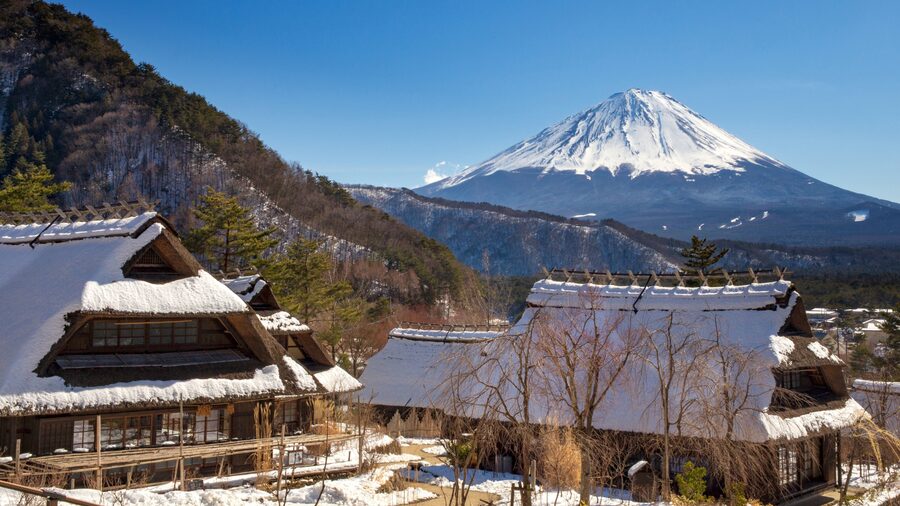 Tokyo: Mt. Fuji Hidden Gems and Aokigahara Forest Tour - Narusawa Ice Cave: volcanic wonder, with seasonal reality checks