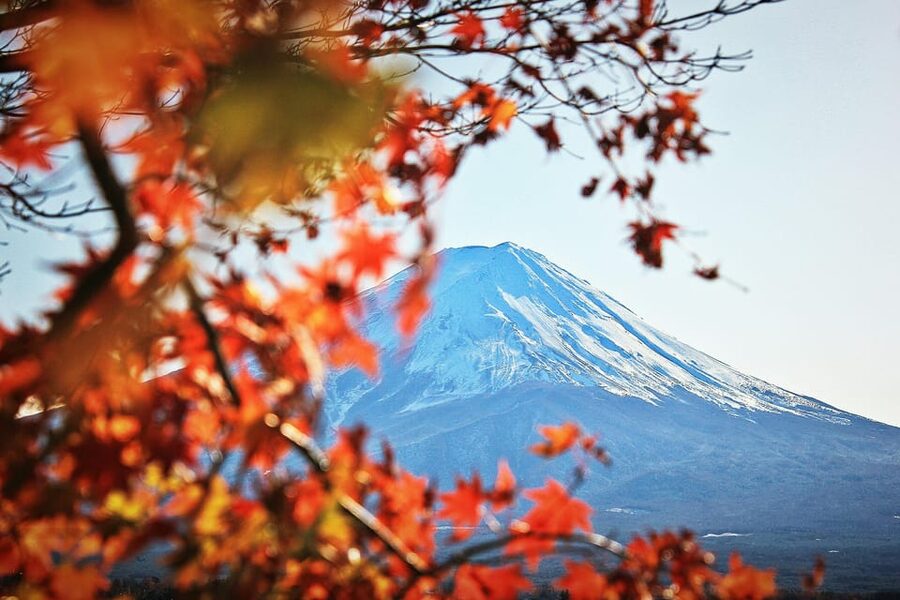 Tokyo: Mt. Fuji Hidden Gems and Aokigahara Forest Tour - Aokigahara Forest: famous name, better mindset for a respectful walk