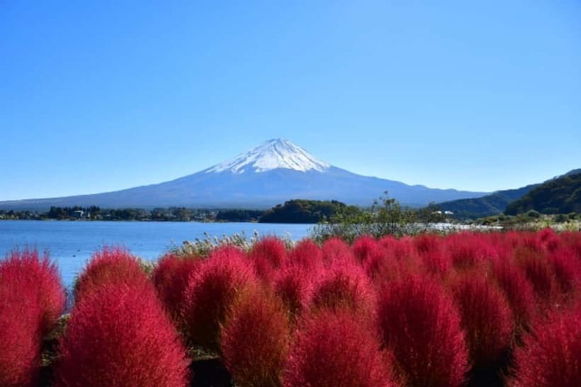 Tokyo: Mt. Fuji Highlights Tour with Lake Kawaguchi Cruise - Price and value: does $79 feel fair for what’s included?
