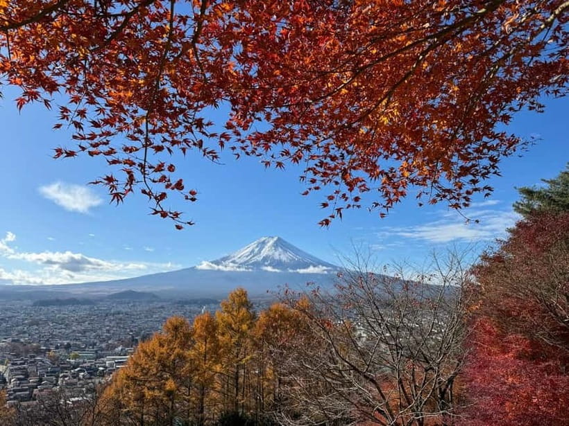 Tokyo: Mt. Fuji Highlights Tour with Lake Kawaguchi Cruise - Arakurayama Sengen Park: climb the 398 steps for the classic Fuji photo