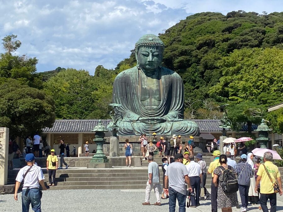 Tokyo: Mt. Fuji, Kamakura, Big Buddha, & Lake Ashi Day Trip - Guide and Driver Quality: The Real Reason People Feel Safe