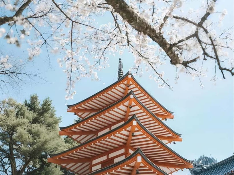 Tokyo: Mt. Fuji & Lake Kawaguchi Instagram Full Day Trip - Hikawa Clock Shop and Fujiyoshida’s Heavenly Town photo angle