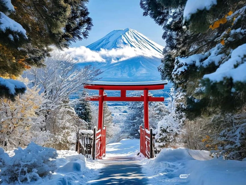 Tokyo: Mt. Fuji & Lake Kawaguchi Instagram Full Day Trip - Tokyo Station meeting point: how to avoid a stressful start