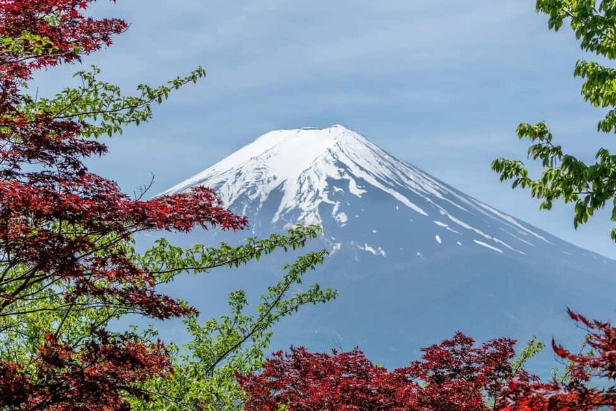 Tokyo: Mt. Fuji & Lake Kawaguchi Private Tour with Transfer - Mt. Kachi Ropeway Views and Lake Kawaguchi Time