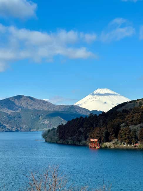 Tokyo: Mt. Fuji & Lake Kawaguchi Private Tour with Transfer - Oshino Hakkai, Oishi Park, and Saiko Iyashi-no-Sato Nenba
