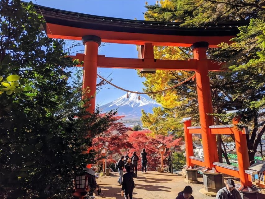 Tokyo: Mt Fuji Lake Kawaguchi & Yamanaka Hot Spring Day Tour - Who this tour suits best
