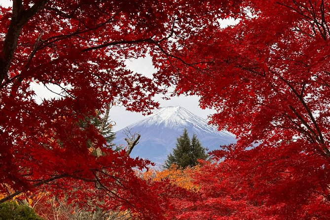 Tokyo: Mt.Fuji & Lake Kawaguchiko 1-Day Bus Tour w/Optional Lunch - Why this Mt. Fuji day trip feels easier than going solo from Tokyo