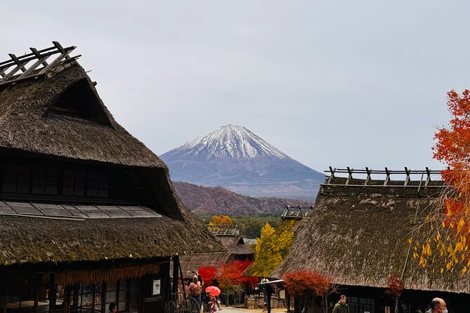 Tokyo: Mt.Fuji & Lake Kawaguchiko 1-Day Bus Tour w/Optional Lunch - Oishi Park: flower season photography by the lake
