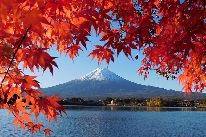 Tokyo: Mt.Fuji & Lake Kawaguchiko 1-Day Bus Tour w/Optional Lunch - Shinjuku logistics, mobile ticket, and the pace you should expect