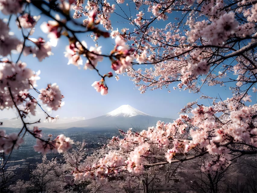 Tokyo: Mt Fuji Lake Kawaguchiko Tour & Arakuyama Sengen Park - Who this Mount Fuji day trip is best for