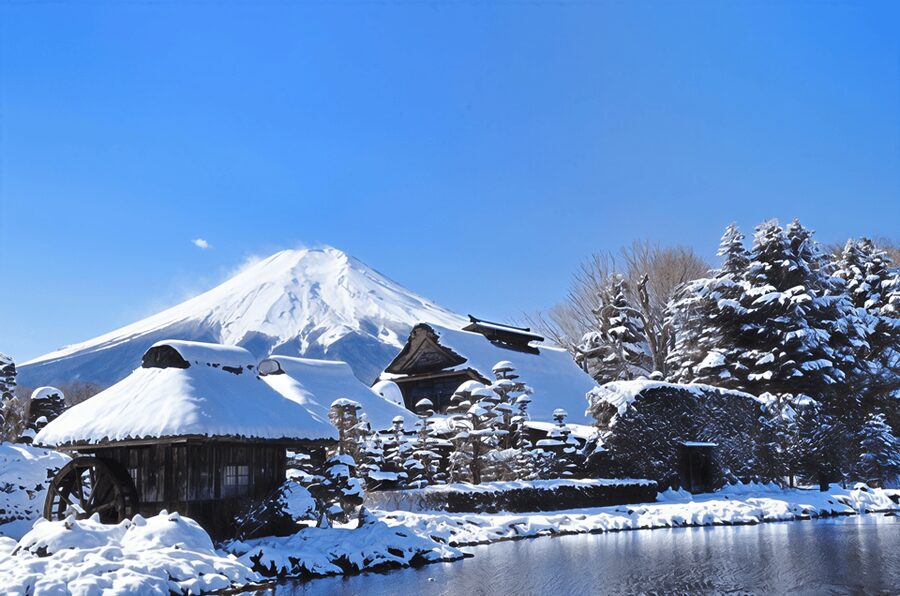 Tokyo: Mt Fuji Lake Kawaguchiko Tour & Arakuyama Sengen Park - Starting at Tokyo Station, and why 7:50 matters