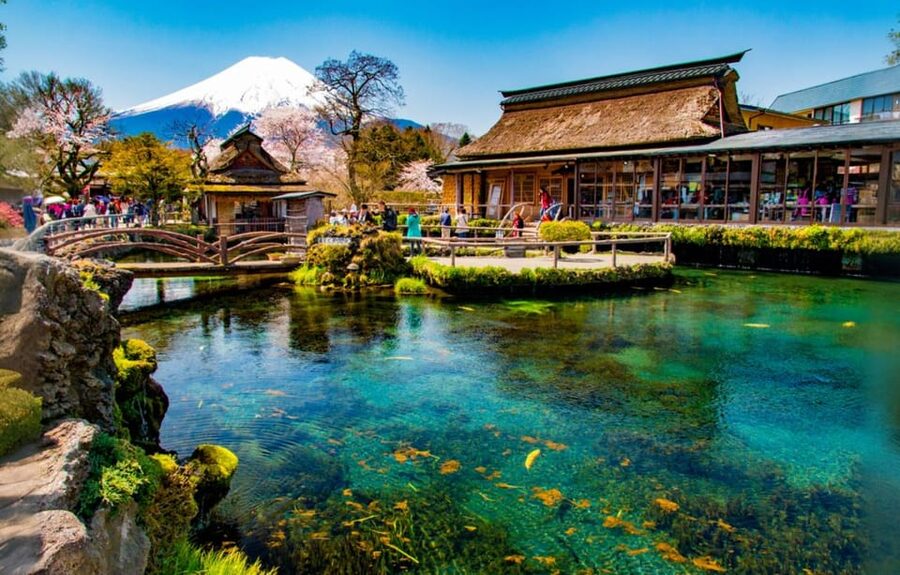 Tokyo: Mt Fuji Lake Kawaguchiko Tour & Arakuyama Sengen Park - Lawson Kawaguchiko Station: the quirky Fuji shot break