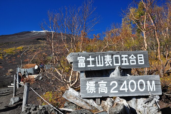 Tokyo: Mt. Fuji, Oshino Hakkai and Gotemba Outlets 1-Day Bus Tour - Key things that make this tour work (and who it suits)